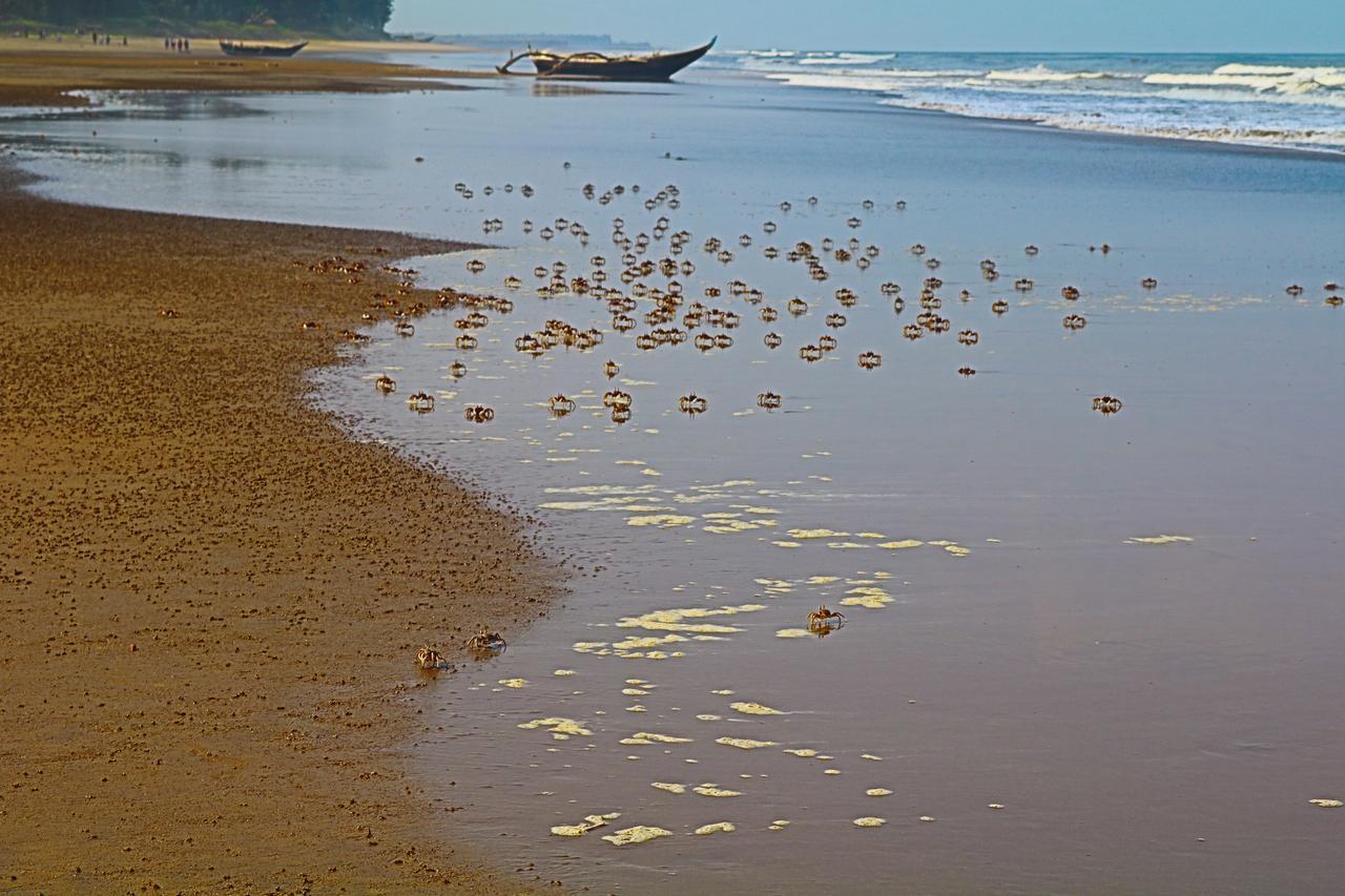 Athaang Beach Resort Malvan Exterior photo